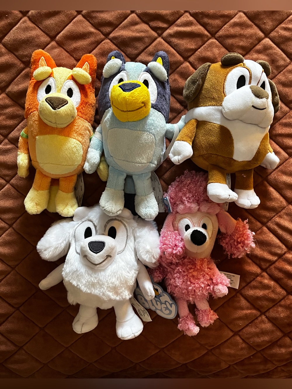 Bluey & Friends 5pc plush bundle